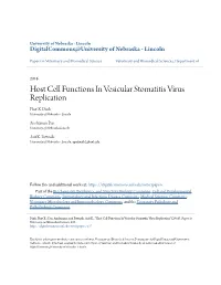 Host Cell Functions in Vesicular Stomatitis Virus Replication Phat X