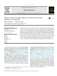 Males Are Quicker to Adjust Aggression Towards Heterospecific