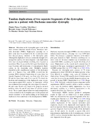 Tandem Duplications of Two Separate Fragments of the Dystrophin Gene in a Patient with Duchenne Muscular Dystrophy