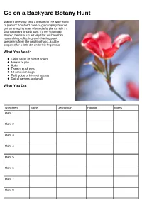 Go on a Backyard Botany Hunt