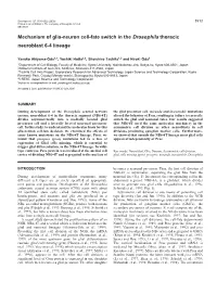 Mechanism of Glia/Neuron Cell-Fate Switch 3515