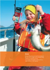 Mustad Rigs Have Proved Themselves to Be the Most Reliable and Consistent Fish Catchers Around the World