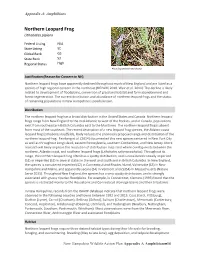 Northern Leopard Frog Lithobates Pipiens