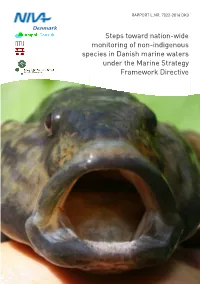 Steps Toward Nation-Wide Monitoring of Non-Indigenous Species In