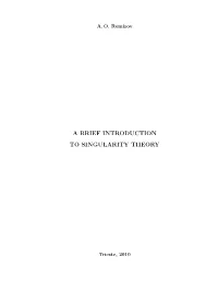 A Brief Introduction to Singularity Theory (A. Remizov, 2010)