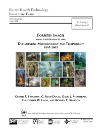 Forestry Images Development Methodology and Technology 1995-2005