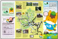 From Narita International Airport from Haneda Airport Transportation Guide There Sa Never-Ending List of Fun, Memorable E
