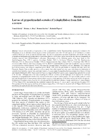 Larvae of Gryporhynchid Cestodes (Cyclophyllidea) from Fish: a Review