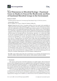 New Dimensions in Microbial Ecology—Functional Genes in Studies to Unravel the Biodiversity and Role of Functional Microbial Groups in the Environment