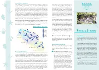 Rivers and Streams Play an Important Part in the Recreation 6 Paisley Fulfil Conditions Under the Water Framework Directive and Is Being and Amenity Value of an Area