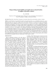 Dung Feeding in Hydrophilid, Geotrupid and Scarabaeid Beetles: Examples of Parallel Evolution
