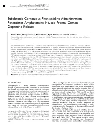 Subchronic Continuous Phencyclidine Administration Potentiates Amphetamine-Induced Frontal Cortex Dopamine Release