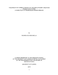 University of Florida Thesis Or Dissertation Formatting Template