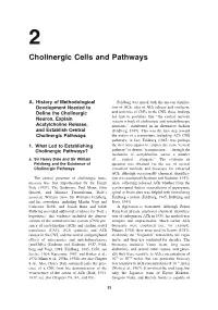 Cholinergic Cells and Pathways