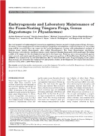 Embryogenesis and Laboratory Maintenance of the Foam-Nesting Tu´ Ngara Frogs, Genus (Physalaemus ؍) Engystomops