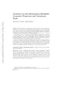 Geodesics in Semi–Riemannian Manifolds 3