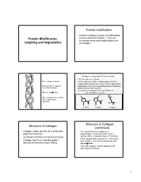 Protein Modification, Targeting and Degradation Protein Modification