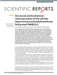 Structural and Biochemical Characterization of the Cell Fate