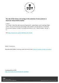 The Role of Life-History and Ecology in the Evolution of Color Patterns in Australian Chrysomeline Beetles