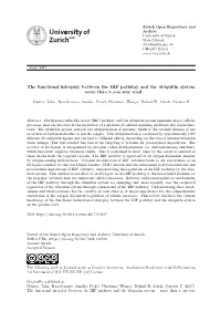 1 the Functional Interplay Between the HIF Pathway and the Ubiquitin System