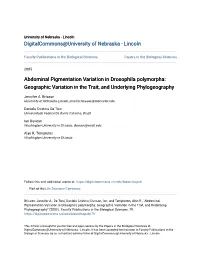 Abdominal Pigmentation Variation in Drosophila Polymorpha: Geographic Variation in the Trait, and Underlying Phylogeography