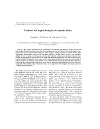 Evidence of Lingual-Luring by an Aquatic Snake