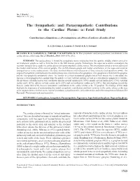 The Sympathetic and Parasympathetic Contributions to the Cardiac Plexus: a Fetal Study
