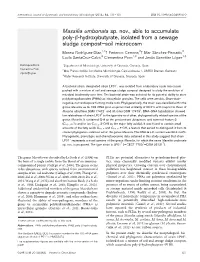 Massilia Umbonata Sp. Nov., Able to Accumulate Poly-B-Hydroxybutyrate, Isolated from a Sewage Sludge Compost–Soil Microcosm