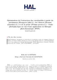 Optimisation De L'extraction Des Caroténoïdes À Partir Du Persimmon