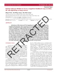 PATZ1 Induces PP4R2 to Form a Negative Feedback Loop on IKK/ NF-Κb Signaling in Lung Cancer