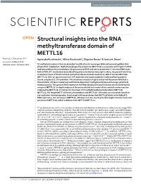 Structural Insights Into the RNA Methyltransferase Domain Of