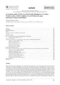 A Systematic Study of Peliococcus Borchsenius (Hemiptera: Coccoidea: Pseudococcidae), with Descriptions of a New Palaearctic Genus and Four New Species from Turkey