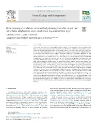 Deer Browsing Overwhelms Extended Leaf Phenology Benefits: a Test Case