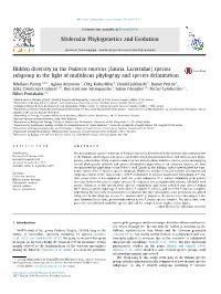 Hidden Diversity in the Podarcis Tauricus (Sauria, Lacertidae