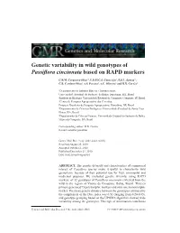 Genetic Variability in Wild Genotypes of Passiflora Cincinnata Based on RAPD Markers