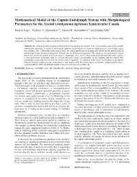 Mathematical Model of the Cupula-Endolymph System with Morphological Parameters for the Axolotl (Ambystoma Tigrinum) Semicircular Canals
