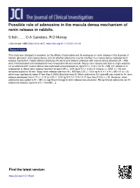 Possible Role of Adenosine in the Macula Densa Mechanism of Renin Release in Rabbits