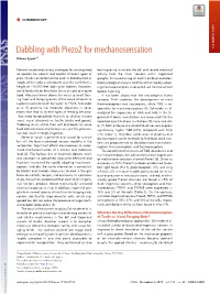 Dabbling with Piezo2 for Mechanosensation COMMENTARY Ruhma Syedaa,1