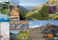 Le Fleuve Var, De La Source À La