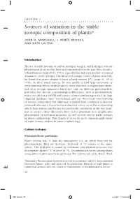 Sources of Variation in the Stable Isotopic Composition of Plants*