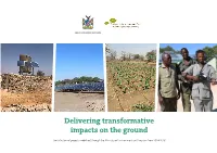 Delivering Transformative Impacts on the Ground