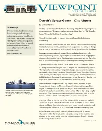 Detroit's Spruce Goose – City Airport