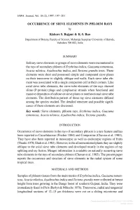 OCCURRENCE of SIEVE ELEMENTS in PHLOEM RAYS Kishore S. Rajput & K. S. Rao Solitary Sieve Elements Or Groups of Sieve Element
