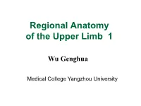 Brachial Plexus and Branches  Axillary A