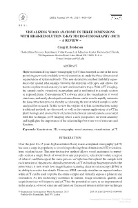 Visualizing Wood Anatomy in Three Dimensions with High-Resolution X-Ray Micro-Tomography (Μ CT) – a Review –