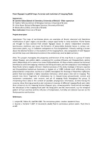 From Flypaper to Pitfall Traps: Function and Evolution of Trapping Fluids
