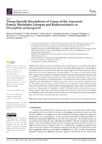 Tissue-Specific Knockdown of Genes of the Argonaute Family Modulates