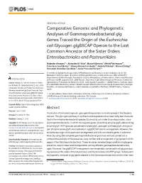 Comparative Genomic and Phylogenetic Analyses Of