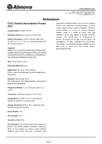 CST2 (Human) Recombinant Protein (P01)
