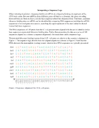 Interpreting a Sequence Logo When Initiating Translation, Ribosomes Bind to an Mrna at a Ribosome Binding Site Upstream of the AUG Start Codon